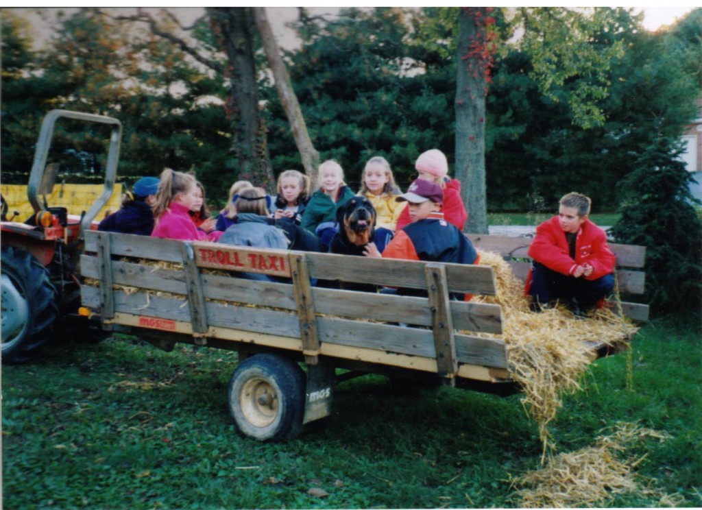 hayrides in the troll taxi